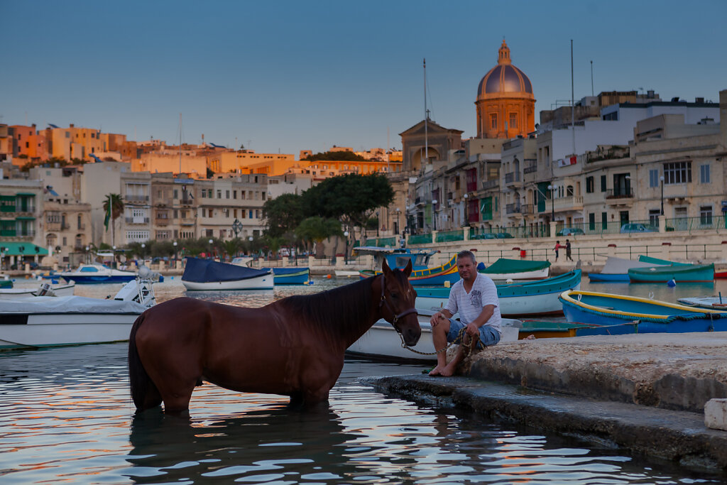 Pferd im Mittelmeer